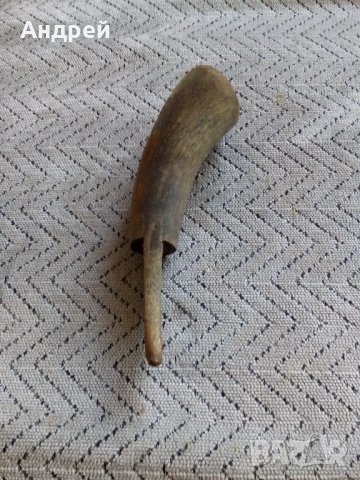 Стар рог #2, снимка 4 - Антикварни и старинни предмети - 22179824