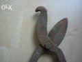 Старинни вет.медицински ножици за скопяване на животни, снимка 5
