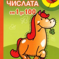 Свържи числата от 1 до 100, снимка 1 - Художествена литература - 16496027