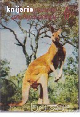 Четириноги австралийци, снимка 1