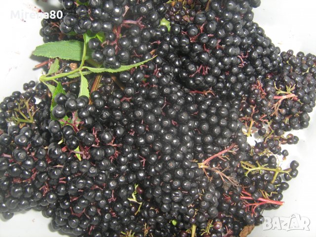 Домашен сироп от черен бъз от Троянския балкан, снимка 5 - Домашни напитки - 19340793