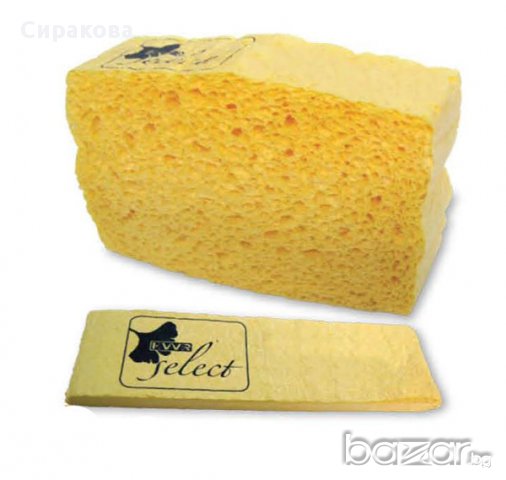 Универсална гъба