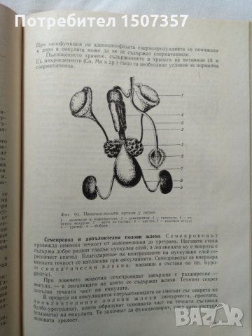 Физиология на селскостопанските животни, снимка 3 - Специализирана литература - 25223158