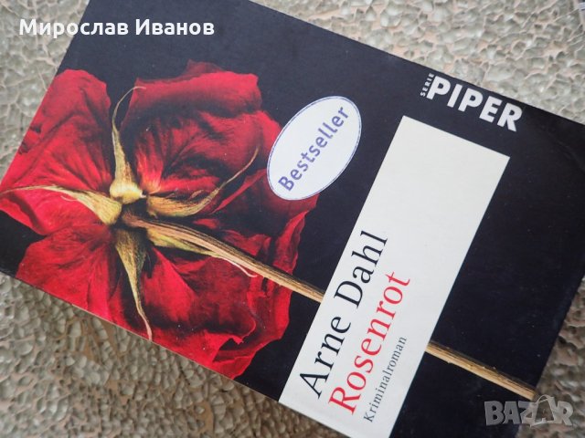 Немска книга " Panic  ​", снимка 8 - Художествена литература - 21194908