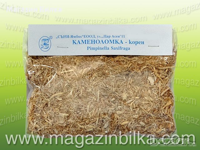Билка Каменоломка - корен, снимка 1 - Домашни продукти - 20611946