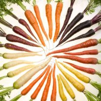 Многоцветни моркови, бонсай, органични, вкусни зеленчуци, растения за дома, градина, редки зеленчуко, снимка 5 - Сортови семена и луковици - 24818953