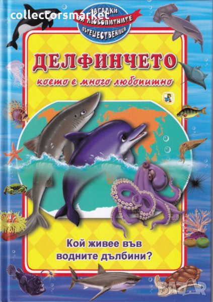 Кой живее във водните дълбините? Делфинчето, което е много любопитно, снимка 1
