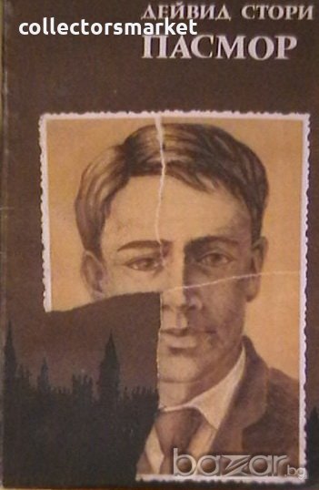 Пасмор, снимка 1