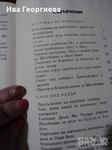 Съкровището на Махараджата – Иван Милев, снимка 3 - Детски книжки - 22976139