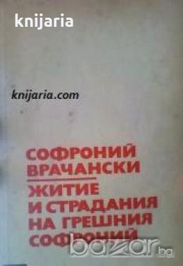 Библиотека за ученика Житие и страдания грешнаго Софроний , снимка 1