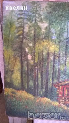 картина-горски пейзаж, снимка 2 - Картини - 17134538