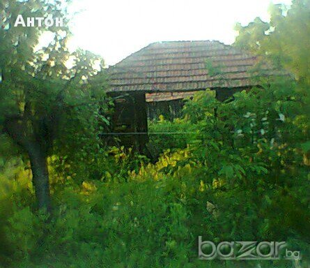 къща в с,Синаговци община Видин, снимка 4 - Къщи - 8671244