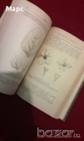 Однолетние цветочные растения, снимка 10 - Художествена литература - 11103613