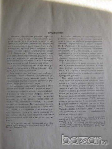 Книга "Ботанический атлас -Б.К.Шишкин" - 504 стр., снимка 2 - Учебници, учебни тетрадки - 7676453