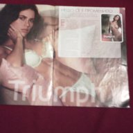 списание Triumph, снимка 5 - Списания и комикси - 9983042