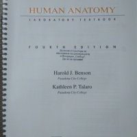 Numan Anatomy Laboratory Textbook 1993 г., снимка 2 - Специализирана литература - 25996579