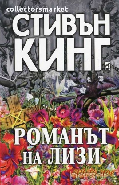 Романът на Лизи, снимка 1