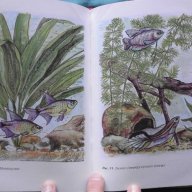 Искусство аквариумного рыбоводства - А.Базанов, снимка 8 - Художествена литература - 18538651