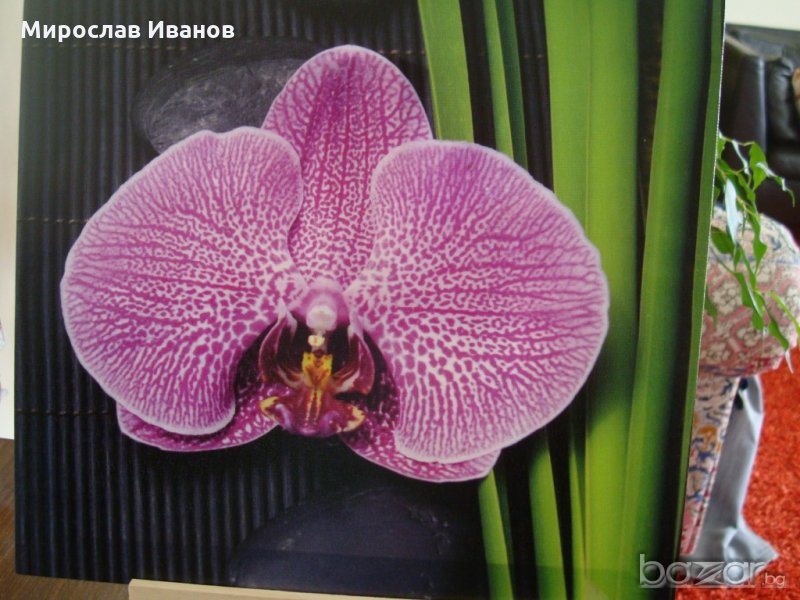 " Лилаво цвете " - пано от Франция, снимка 1