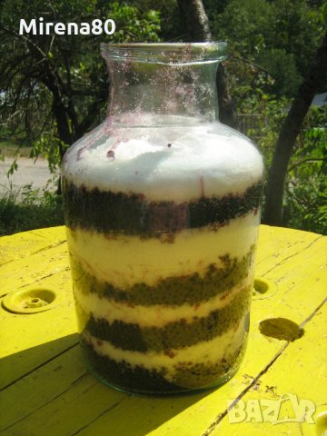 Домашен сироп от черен бъз от Троянския балкан, снимка 2 - Домашни напитки - 19340793