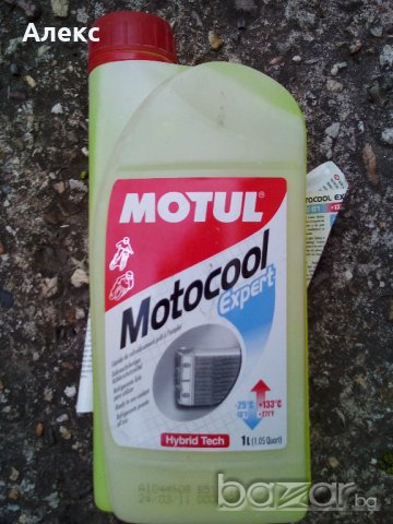 Motul Motocool expert - антифриз, снимка 1