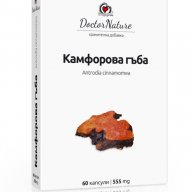 Камфорова гъба (Antrodia cinnamomea), снимка 1 - Хранителни добавки - 10961771