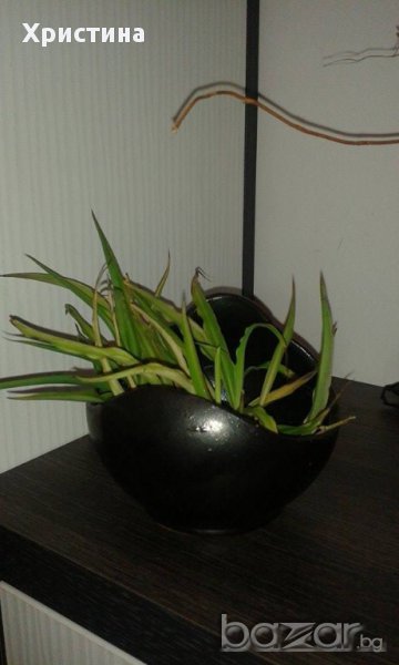 ваза, снимка 1