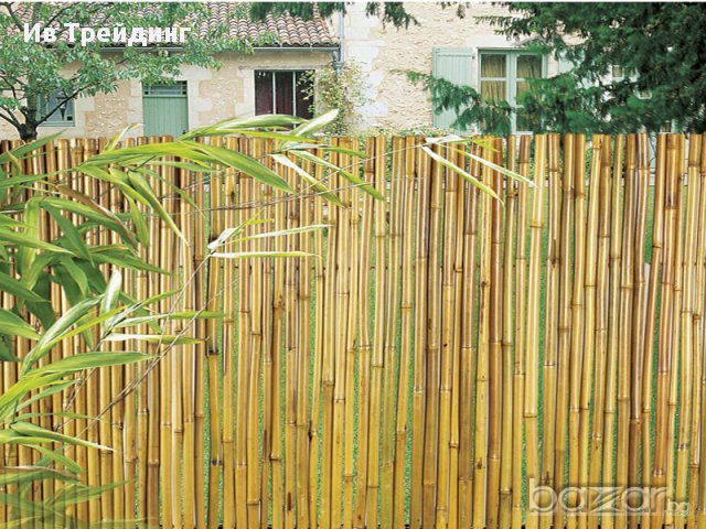 Бамбукова ограда Пловдив, снимка 2 - Дограми - 16828376