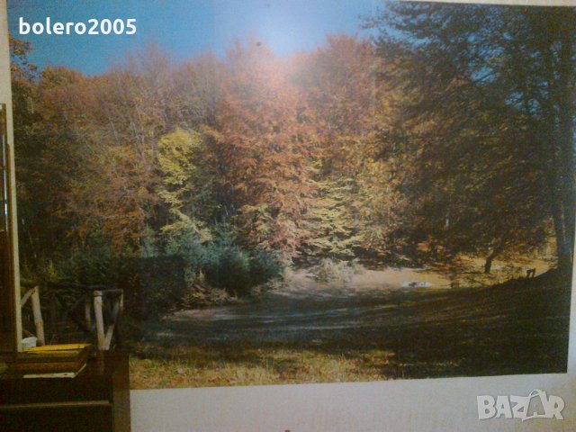 vila bolero, снимка 17 - Къщи - 24449796