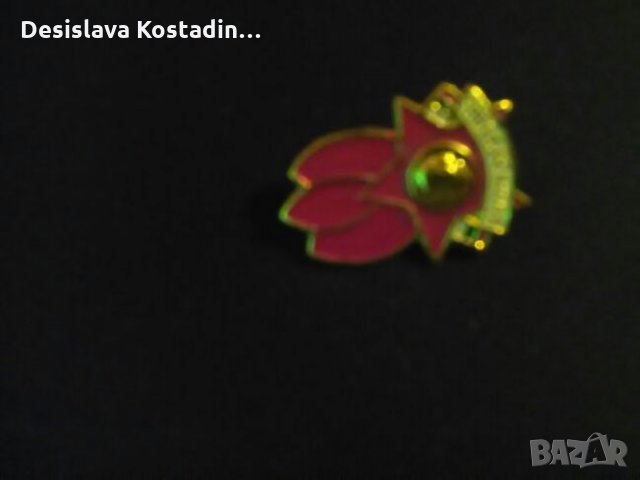 Лот  значки на соца, снимка 6 - Антикварни и старинни предмети - 24171076