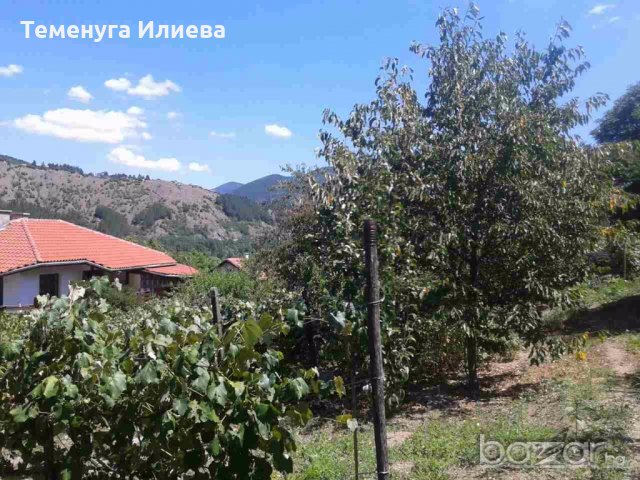 продава сграда, снимка 3 - Къщи - 18924563