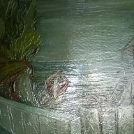 картина-яворов хълм-поморие на м.гълъбов, снимка 3 - Картини - 14321818