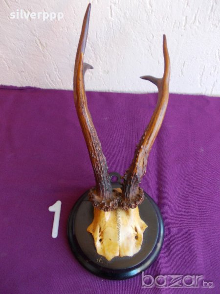 Трофей - 1, снимка 1