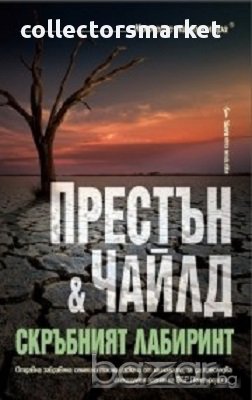 Скръбният лабиринт