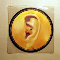 Vinyl-грамофонни плочи - MANFRED MANN / SANDii & THE SUNSETZ / GO GO'S - Picture Discs, снимка 1 - Грамофонни плочи - 16532730