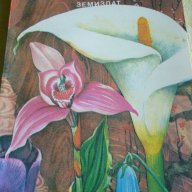 Дъга от цветя - Евгения Черней, Леонила Ширева, снимка 1 - Художествена литература - 13663003