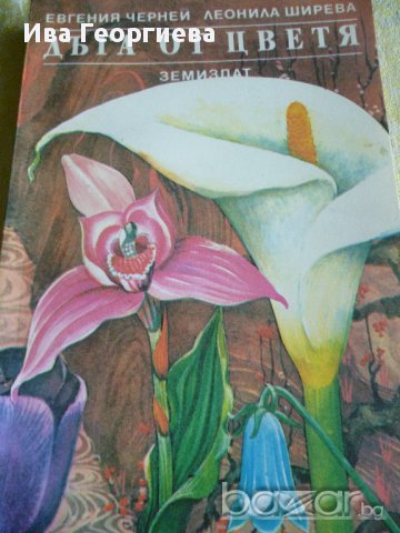 Дъга от цветя - Евгения Черней, Леонила Ширева, снимка 1 - Художествена литература - 13663003