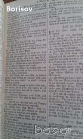Антични библии от Мартин Лутер 1769, снимка 6 - Антикварни и старинни предмети - 18680989