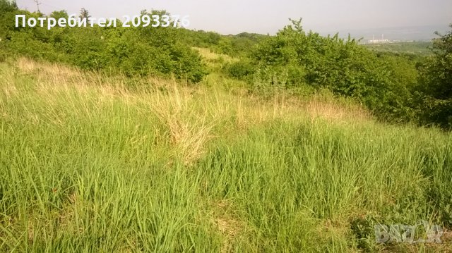 Парцел с. Звездица, снимка 11 - Парцели - 23007156