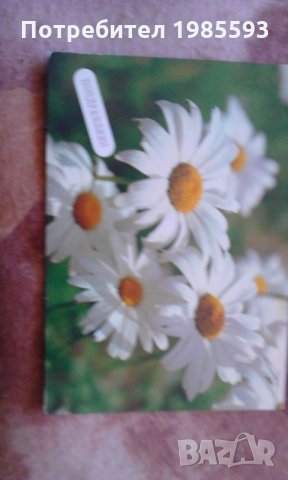 Ретро картички, снимка 6 - Колекции - 22963474