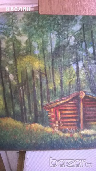 картина-горски пейзаж, снимка 1