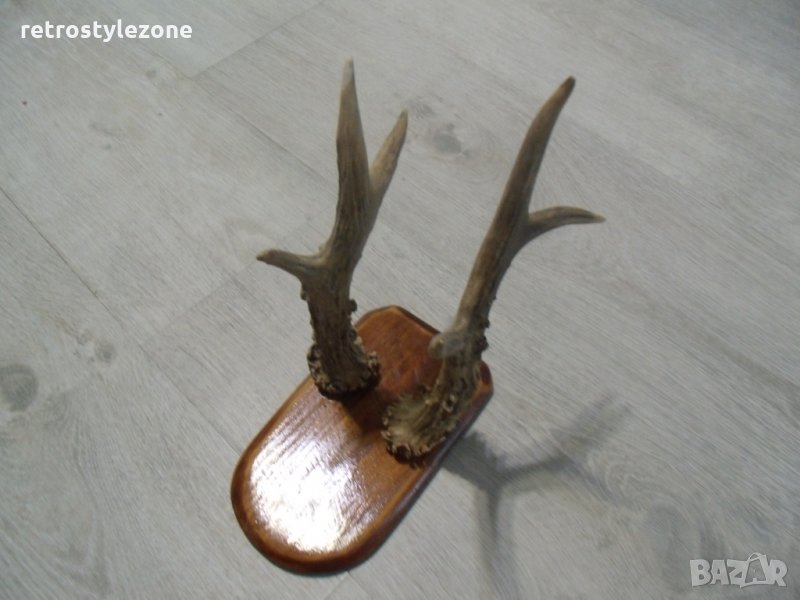 № 1437 старо пано - рога  -размери - основа 18 / 10,5 см , рога 23 см, снимка 1