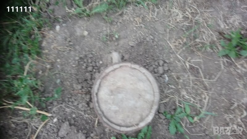 Бъклица , снимка 1