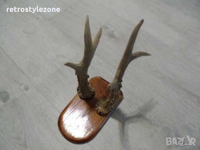 № 1437 старо пано - рога  -размери - основа 18 / 10,5 см , рога 23 см