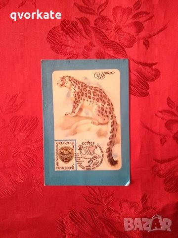 Стари календарчета, снимка 5 - Колекции - 22676485