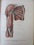 1971г. Медицинска Книга Анатомичен Атлас Том1-ви, снимка 16