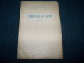 "Capriccio di Capri" роман от Андрей Протич 1942г., снимка 1 - Художествена литература - 22499431