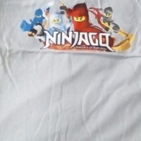 Тениски Нинджаго - 3,80 лв., снимка 1 - Детски тениски и потници - 18678483