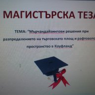 Предлагам готова Магистърска теза от УНСС , снимка 1 - Художествена литература - 14881703