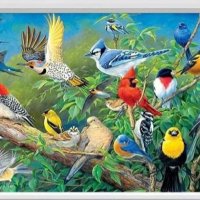 Диамантен гоблен "Птички в гората", снимка 1 - Гоблени - 25635149